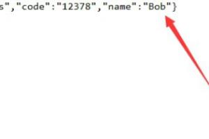 怎么解析json.
