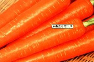 有效清除体内毒素的食物.