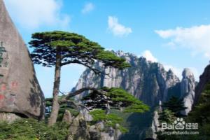 黄山旅游经典攻略.