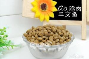 第一次养狗应该注意什么.