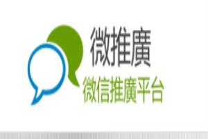新网站优化从何处入手.