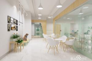 选择宠物店加盟怎么样.