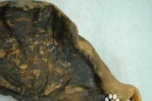 采用合适的食材祛黄褐斑.