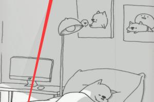 怎样使用手机WPS扫描文档.
