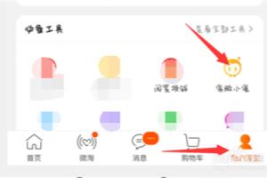 手机淘宝如何查看有没有被删除的评价及差评数量.