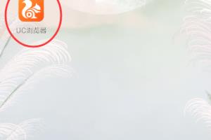 UC浏览器如何设置夜间模式？.
