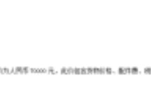 做一份简单的投标文件.