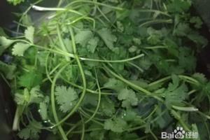 怎么做荷包蛋芫荽肉丸煮面？.