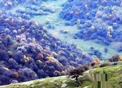 关山难越的关山在哪里?