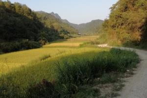 四方界山下乡村游攻略上.