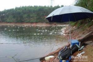 夏季下雨天适合钓鱼吗？下雨天钓鱼注意事项！.