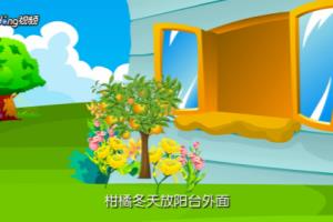 阳台花园秋天适合种植什么果树.
