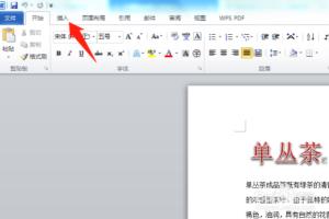Word2010如何设置首页、奇偶数页页眉页脚内容.