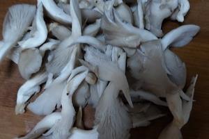 干煸平菇-有肉的味道.