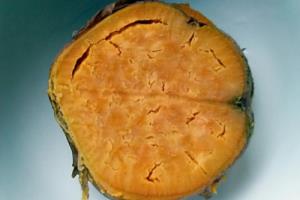 入口即化的玫瑰豆沙红薯饼.