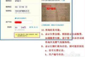 十位燃气编码如何查询.