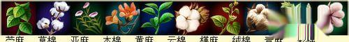 《天龙八部》新手自制时装指南