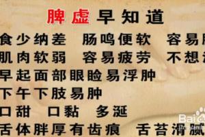 养好脾胃治百病.