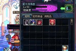 dnf如何解除宠物.