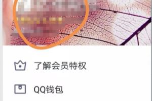 如何找到QQ空间家族？.