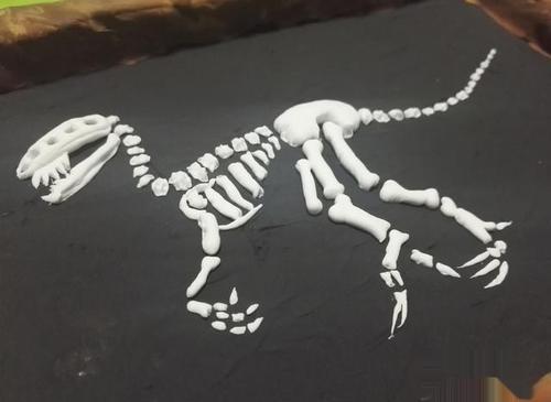 恐龙化石制作教程