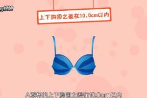 如何形容罩杯的大小？.