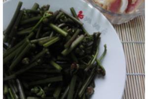 蕨菜腊肉的做法.