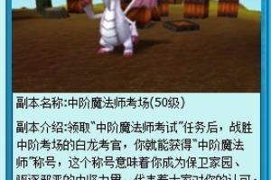 魔法哈奇生命打白龙攻略.