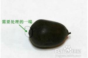 碗莲种植方法图解教程.