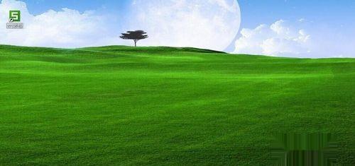 excel如何筛选出是星期日的日期