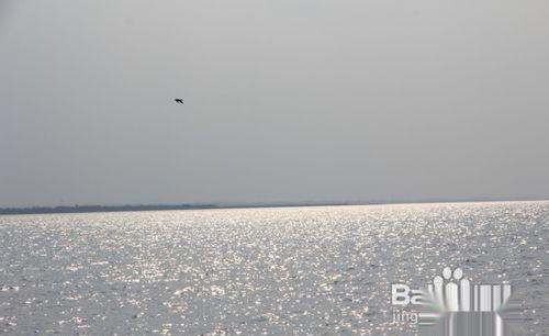 陕西榆林红碱淖旅游攻略