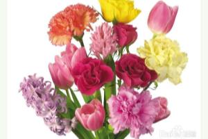 教师节该给老师送什么礼物.