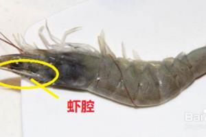 青虾和茶叶搭配如何做好吃的.