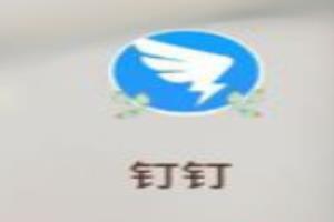 钉钉怎么设置英文.