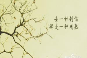 什么才是成熟？.