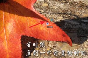 PicPick图像编辑器怎么设置截取鼠标光标？.