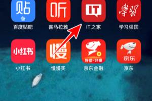 IT之家怎样进行网络诊断.