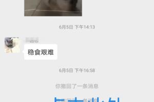 微信接龙、QQ群接龙如何创建？.