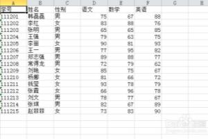 Microsoft Excel 2010中数据透视表的使用.