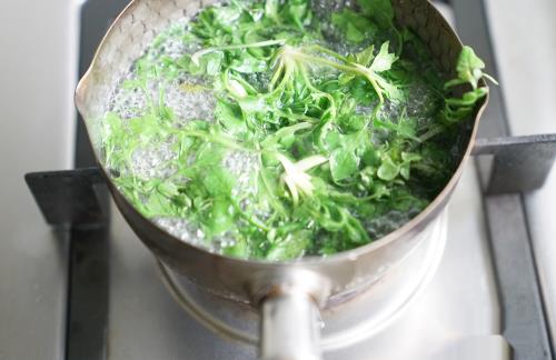 诱惑味蕾的野菜鸡丝荞麦面面条