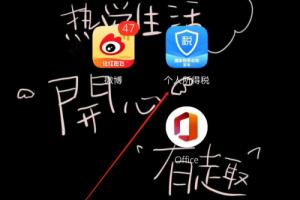 如何快速查询个人年度纳税明细.