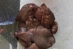 教你怎么做爆炒下饭鸡肝.