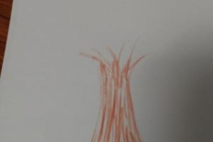 大树 水粉画 画画教程.