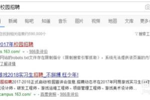 网易内推码怎么使用.