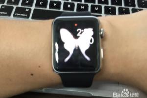 苹果手表Apple Watch屏幕激活点亮操作方法教程.
