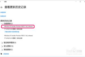 Windows 10 20H1快速预览版19028更新教程.