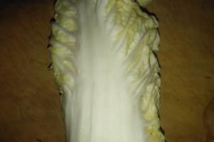 居家之白菜炒豆腐泡.