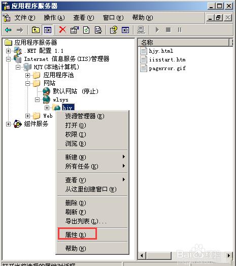 在Server 2003 IIS站点中创建虚拟目录并验证