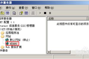 在Server 2003 IIS站点中创建虚拟目录并验证.