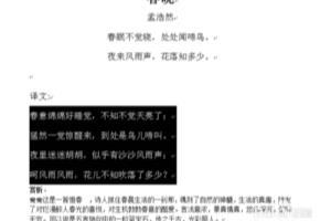 Word文本选定、全选和清除、撤销和恢复.